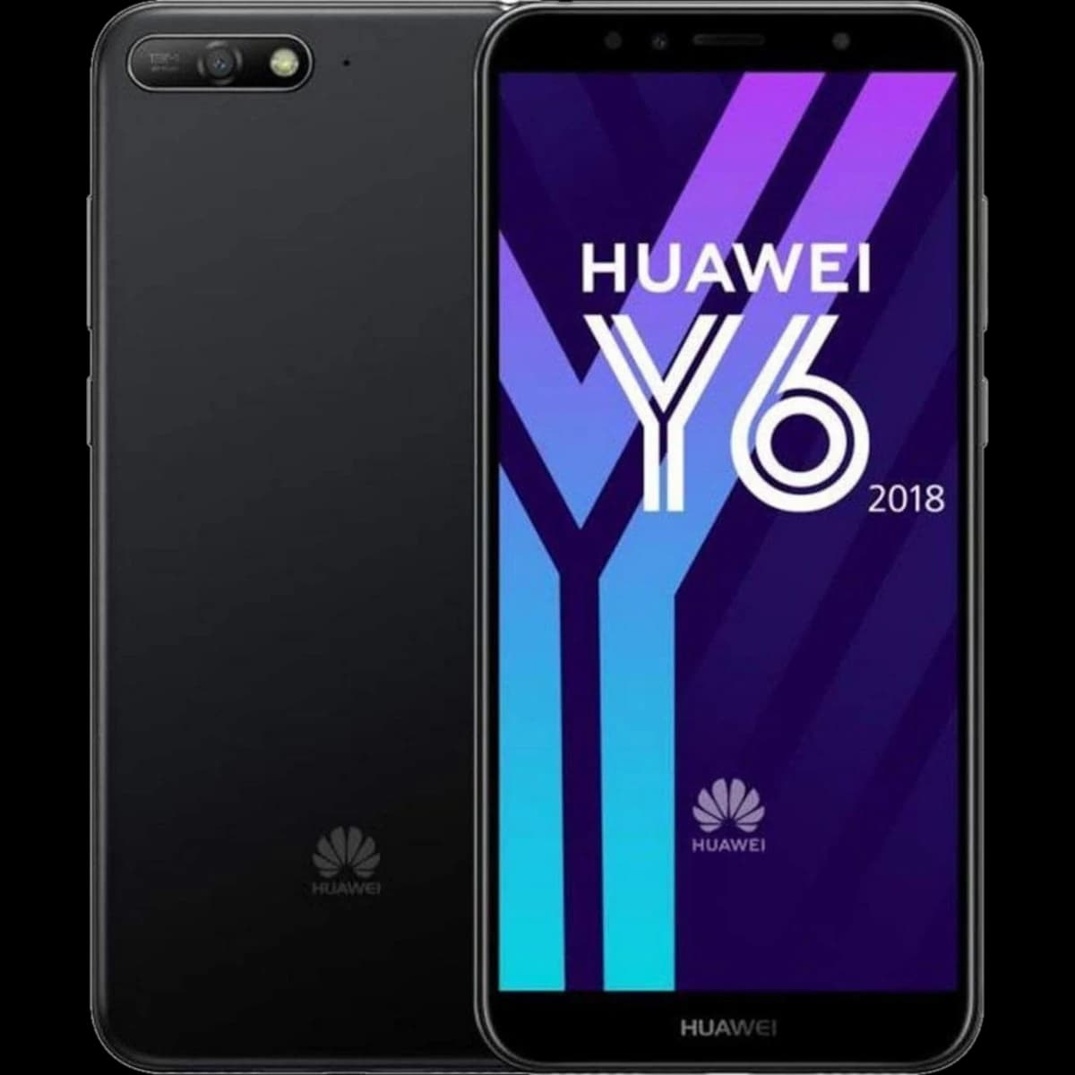 Y6 2018